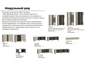 Гостиная Отис Дуб Крафт Серый/Антрацит в Миассе - miass.magazinmebel.ru | фото - изображение 5