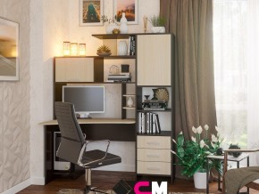 Компьютерный стол №6 в Миассе - miass.magazinmebel.ru | фото