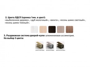 Шкаф-купе Акцент-Сим Д 1400-600 шимо тёмный в Миассе - miass.magazinmebel.ru | фото - изображение 3
