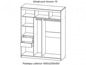 Шкаф-купе Альянс 18 комплект зеркал №4 в Миассе - miass.magazinmebel.ru | фото - изображение 2